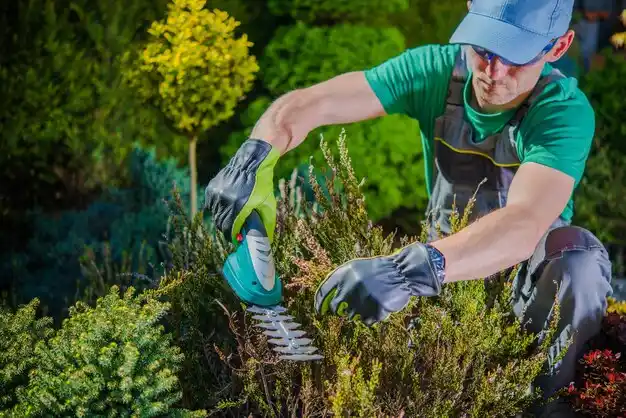 landscaping services Northbrook